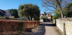 Street View 1